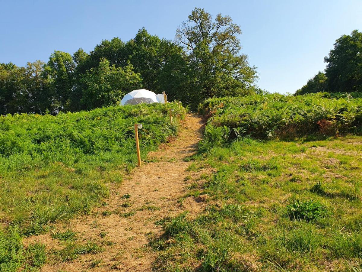 Moulin Du Pommier Glamping & Camping Saulgond Esterno foto